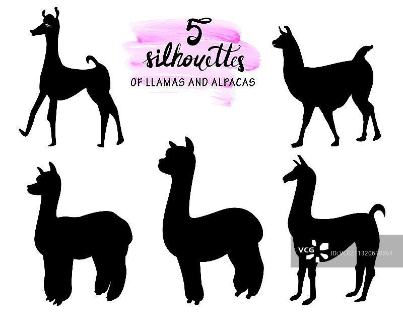 几只羊驼和美洲驼的剪影图片素材