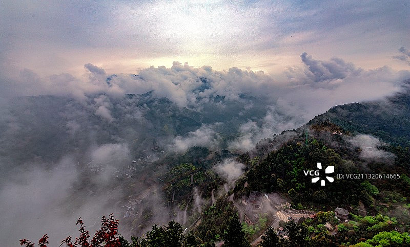龙茶仙山图片素材