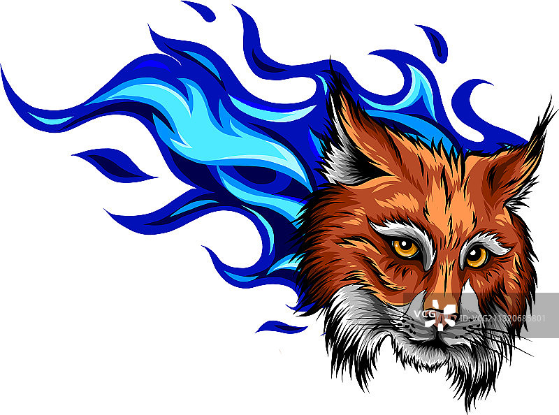 欧亚猞猁猫头动物面部图片素材