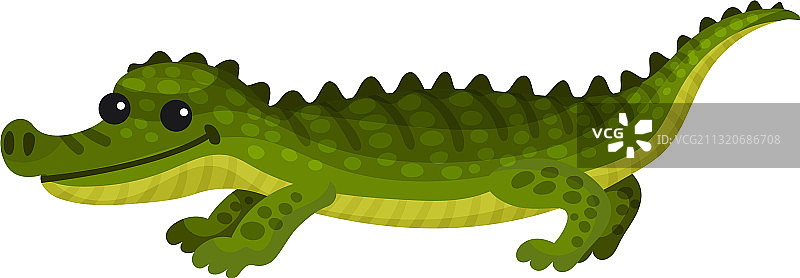 长尾尖牙的鳄鱼图片素材