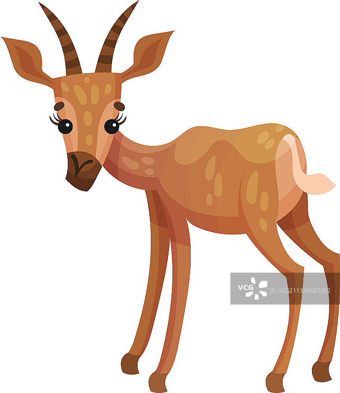 非洲动物：带角的瞪羚或羚羊图片素材