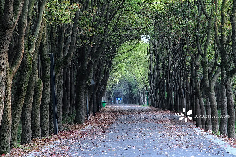通往秘境图片素材