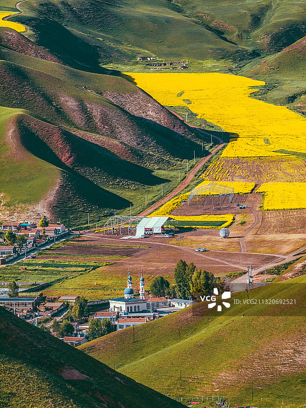 中国青海省海北藏族自治州祁连县卓尔山景区油菜花田图片素材