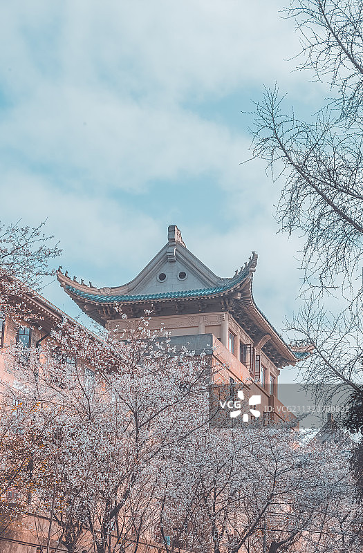 待到春暖花开图片素材