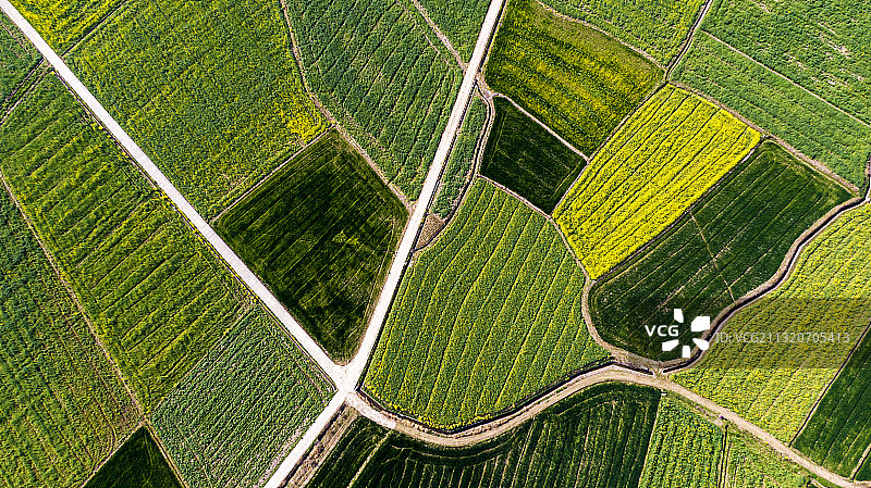 春回大地（荆门市东宝区石桥驿）图片素材