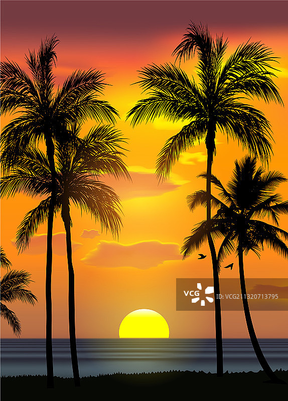 夏季热带海滩背景与棕榈树天空图片素材