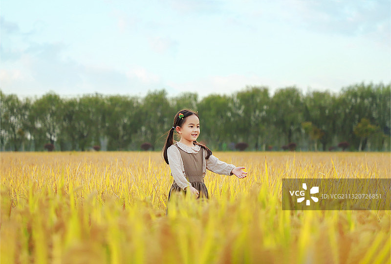 秋季金黄色的水稻田里扎马尾的小女孩图片素材