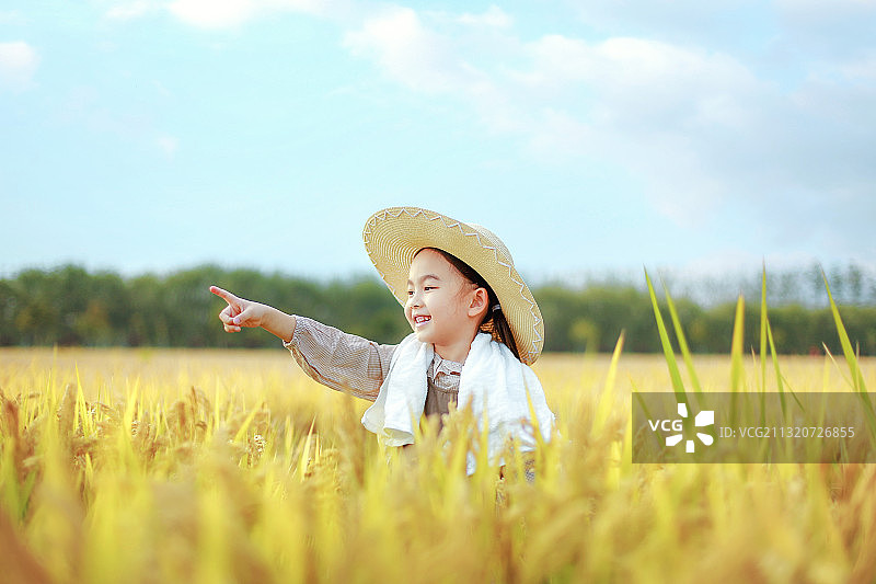 稻田里戴着草帽手指着远方的小女孩图片素材