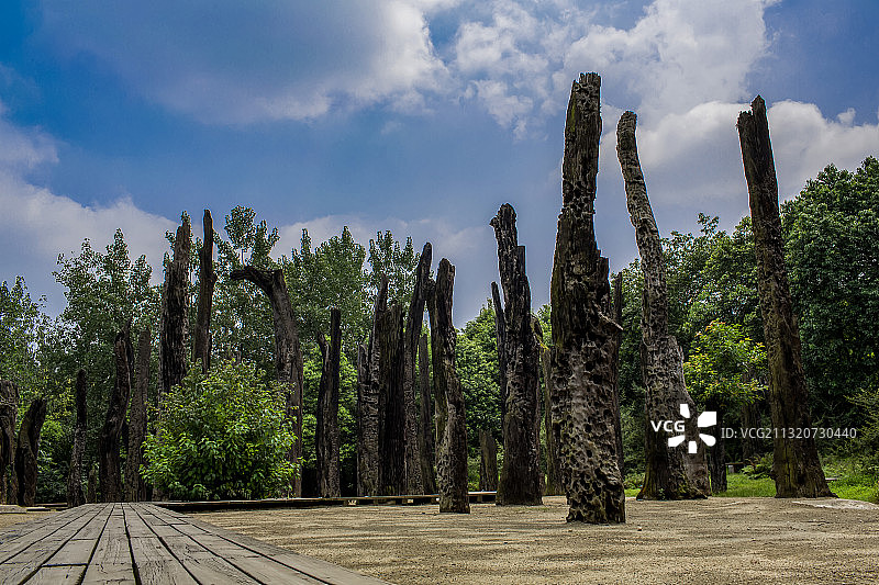 乌木林 成都图片素材