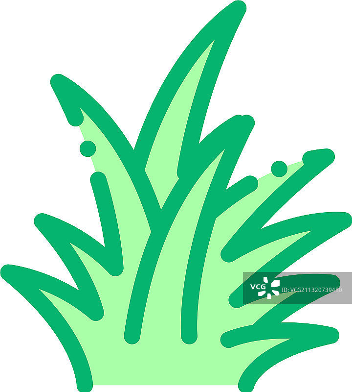 热带灌木图标轮廓符号图片素材