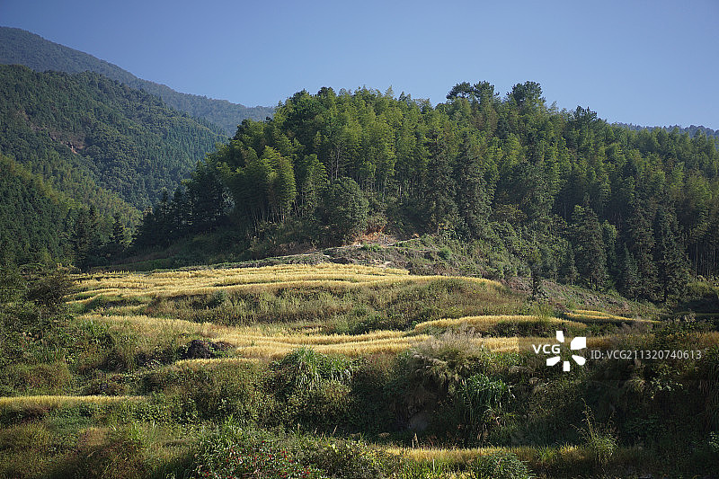 山区里的梯田图片素材