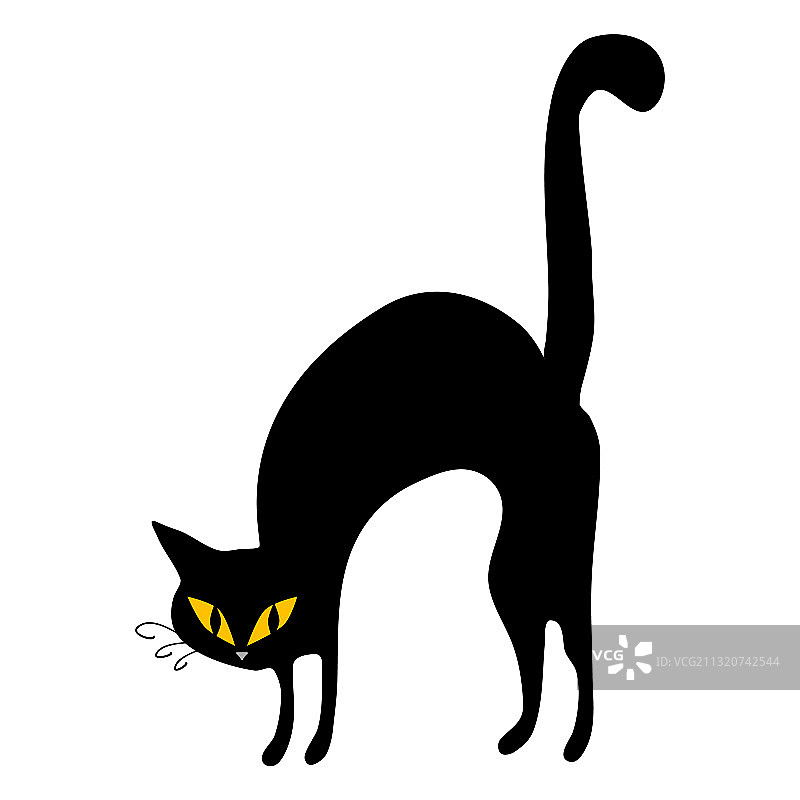 隔离在白色背景上的万圣节黑猫图片素材