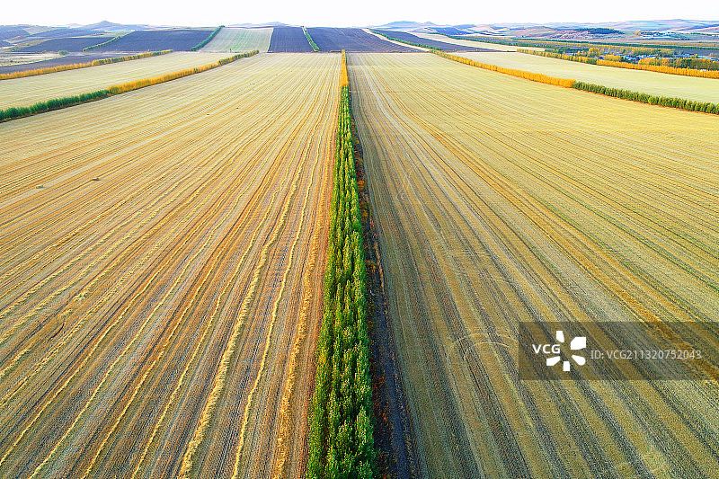 航拍东北平原晚秋田野图片素材