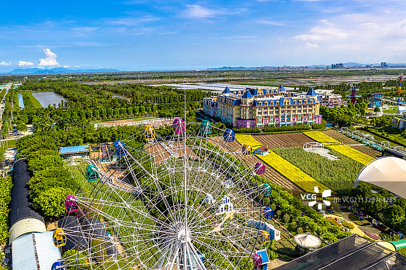 中国广东省广州市南沙区百万葵园景区图片素材