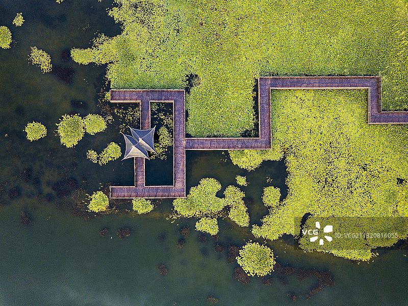 江苏省连云港市西双湖风景区湿地风光图片素材