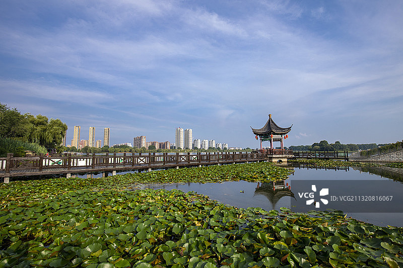 江苏省连云港市西双湖风景区湿地风光图片素材