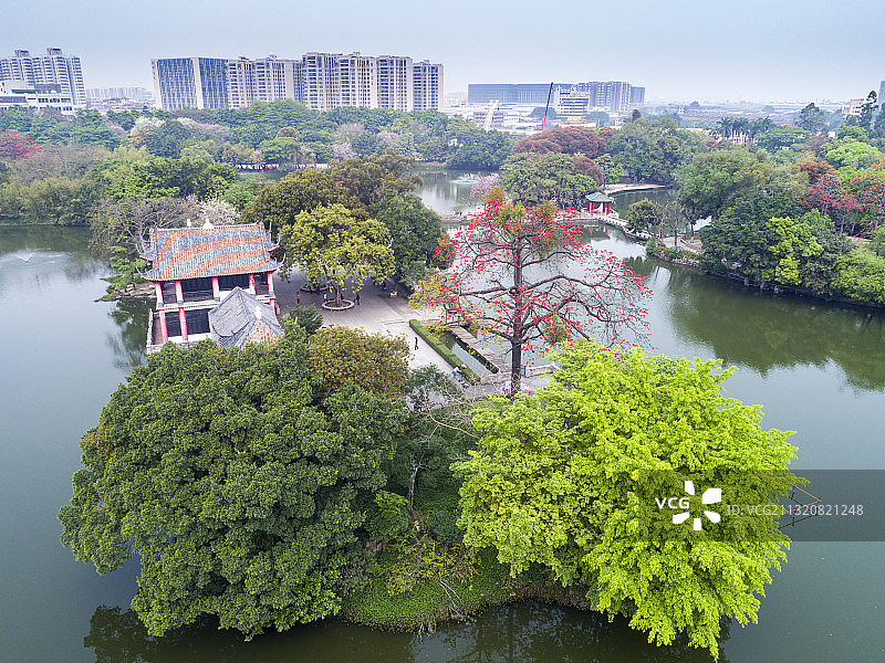 佛山市中山公园的春色图片素材