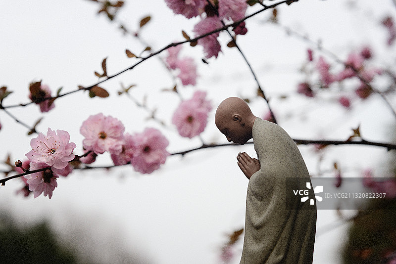 禅zen_梅图片素材