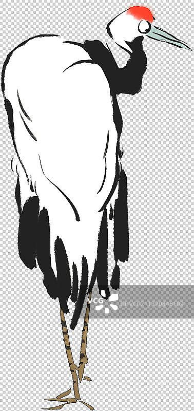 白鹤插画元素图片素材