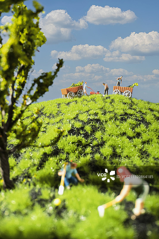 植树劳动图片素材