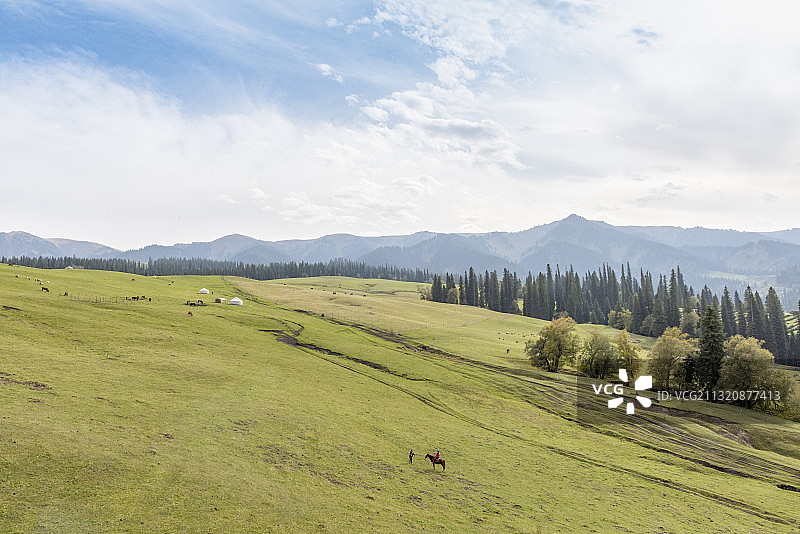 新疆伊犁州新源县那拉提草原风光图片素材