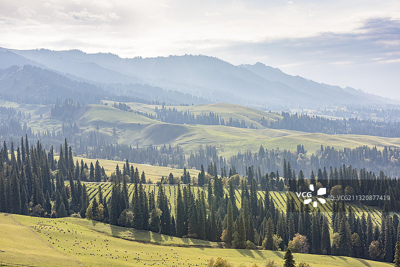 新疆伊犁州新源县那拉提草原风光图片素材