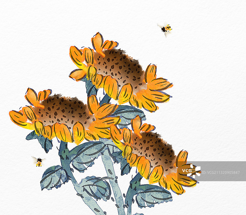向日葵图片素材