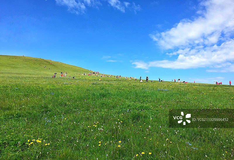 新疆喀拉峻大草原-鲜花台图片素材