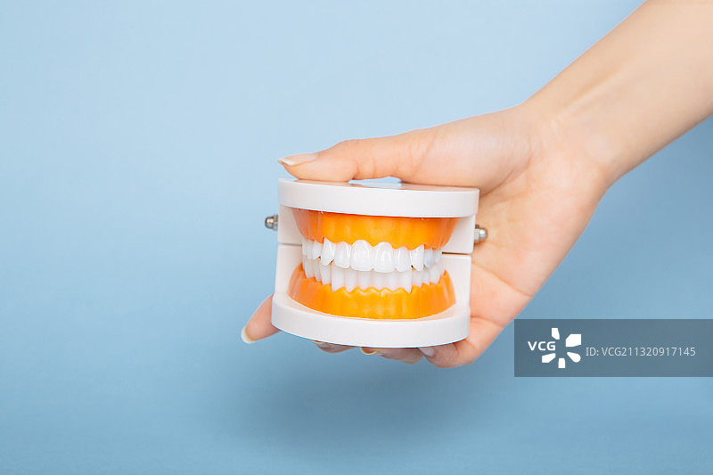 手上的牙齿，保护牙齿，牙齿健康图片素材