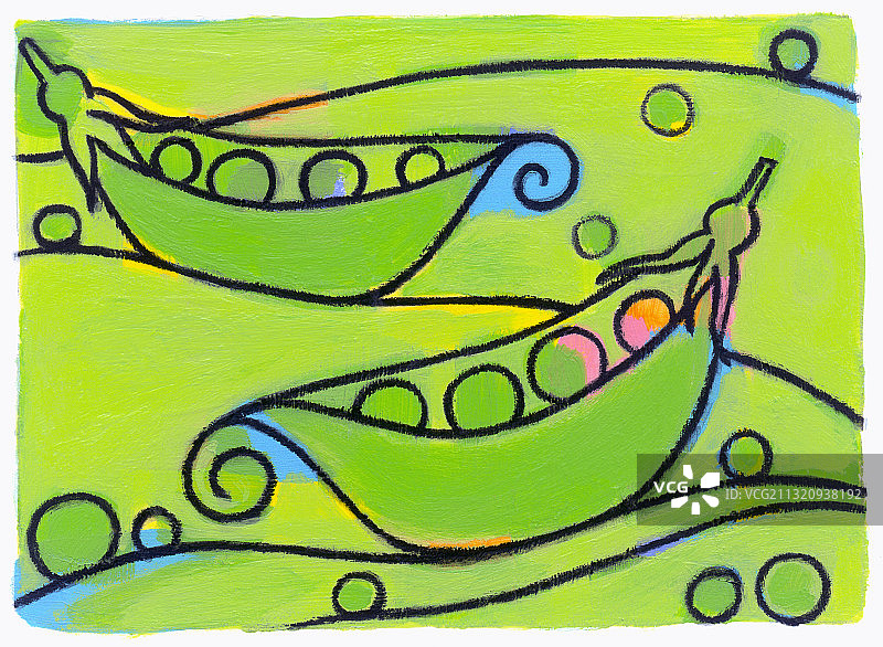 两个装有豌豆的豆荚插图图片素材