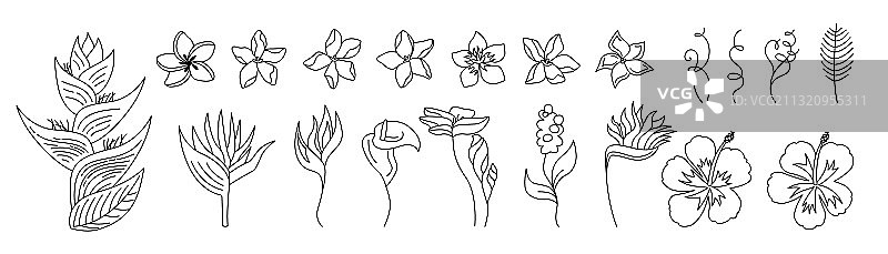 热带异域花卉卡通图案图片素材