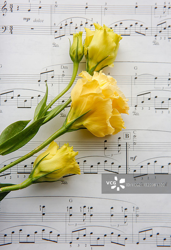 曲谱与鲜花图片素材