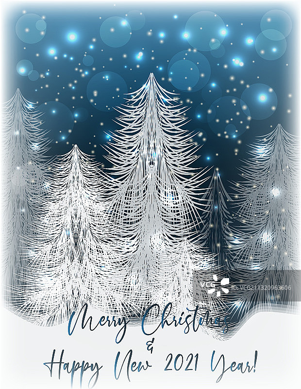 圣诞及2021新年VIP邀请卡图片素材