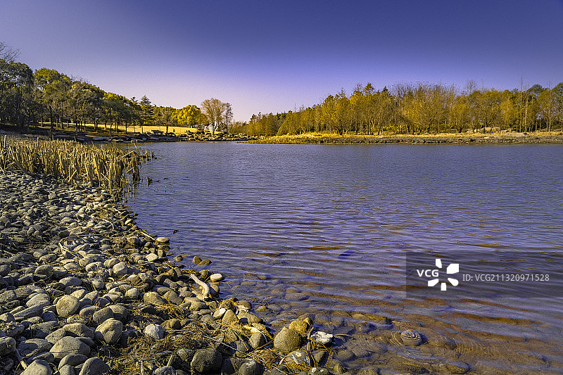闵行滨江湿地公园图片素材