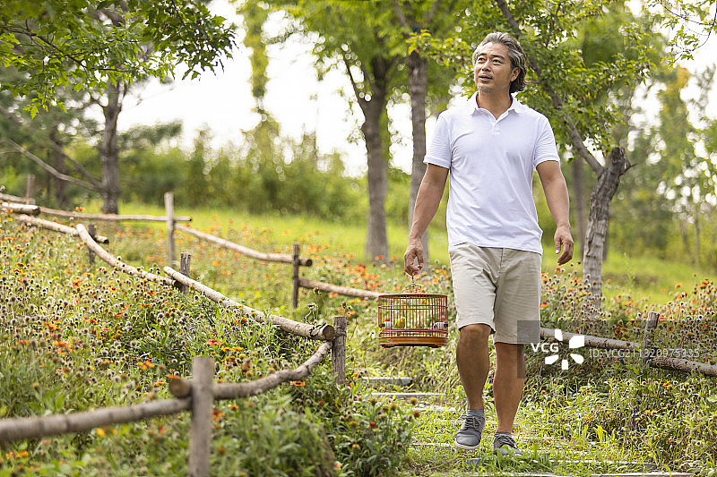开心的中老年男子在公园遛鸟图片素材