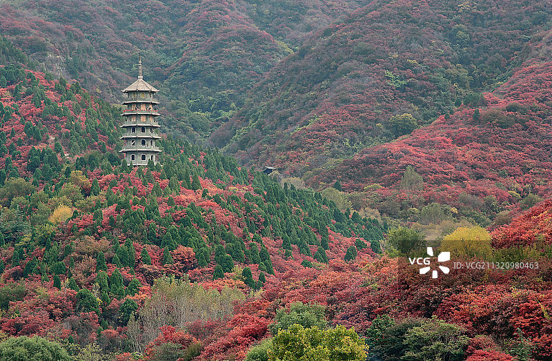 济南历城区红叶谷宝塔图片素材