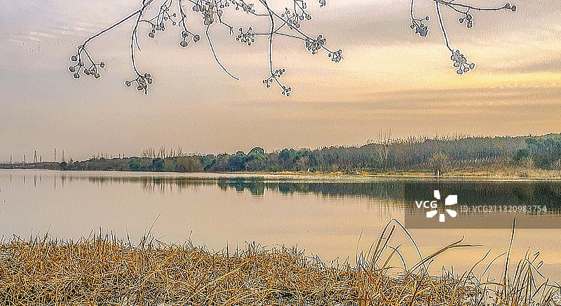 汤湖公园 武汉图片素材