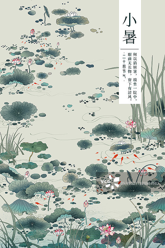夏天荷塘节气插画海报图片素材