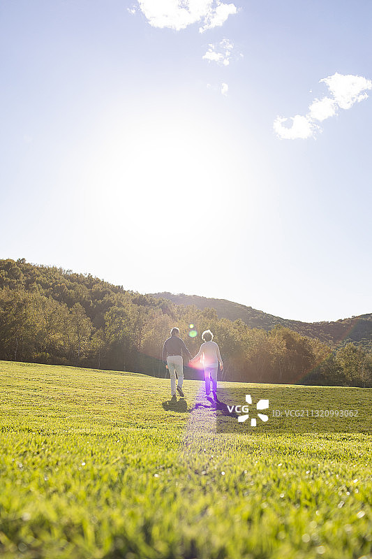 快乐的老年夫妇手牵手在草地上散步图片素材