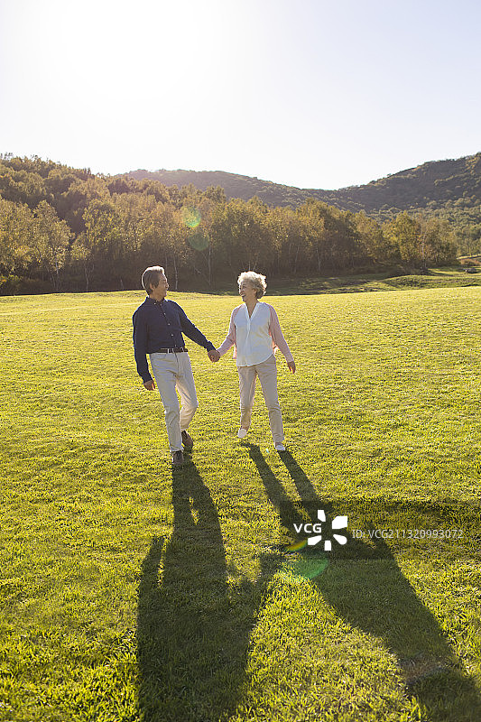 快乐的老年夫妇手牵手在草地上散步图片素材