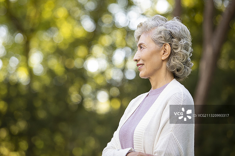 老年人在公园放松身心图片素材