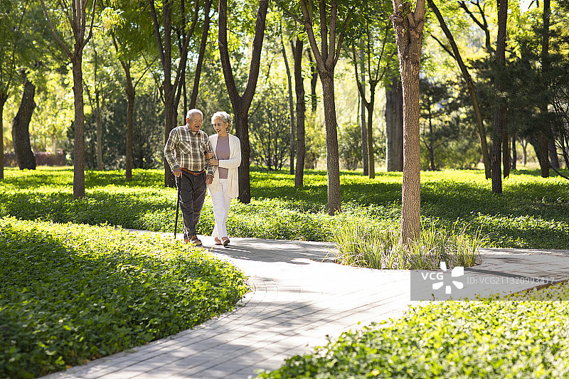 幸福的老年夫妇在公园散步图片素材