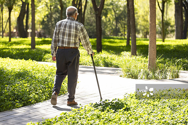 老年人在公园散步图片素材