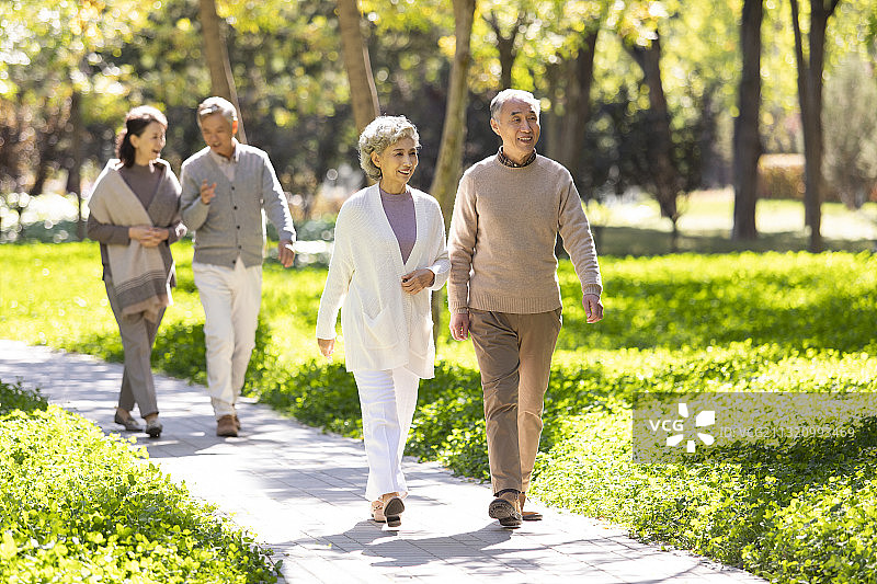 幸福的老年人在公园散步图片素材