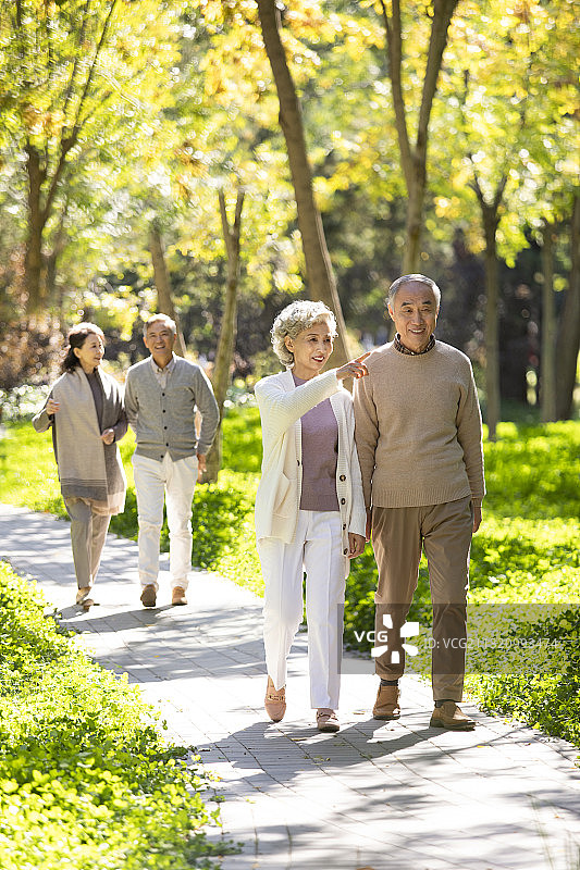 幸福的老年人在公园散步图片素材