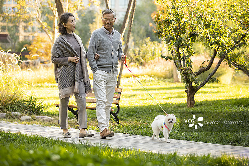 开心的老年夫妇在公园遛狗图片素材