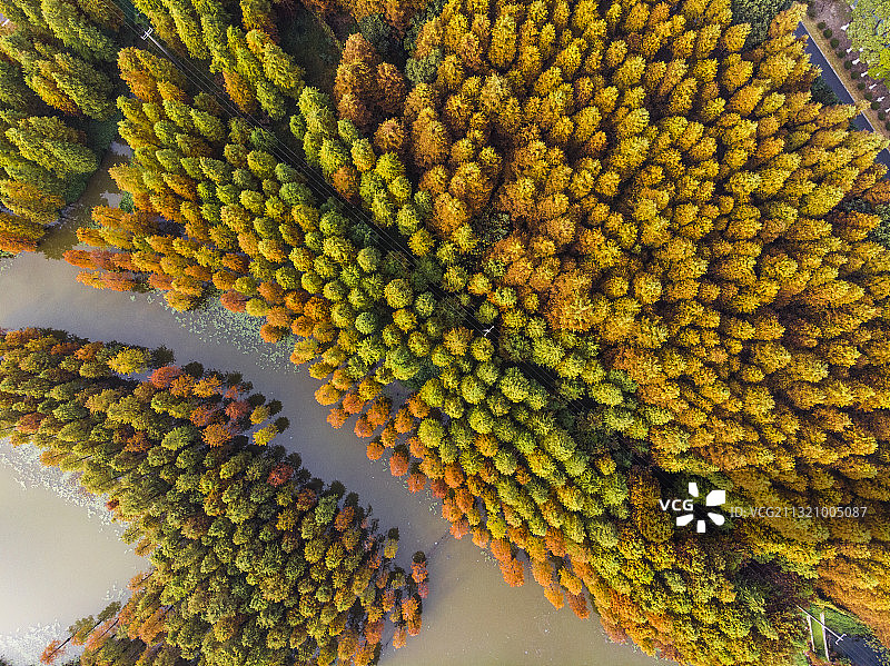 大莲湖湿地 上海图片素材