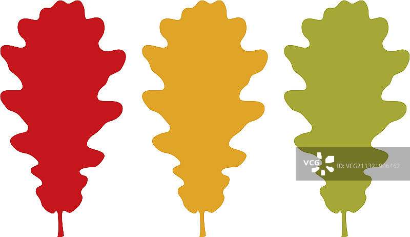 橡树叶合集图片素材