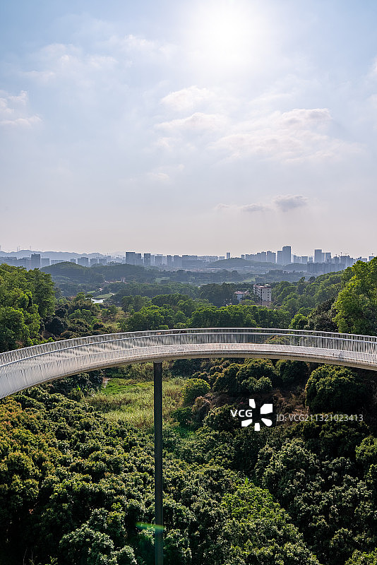 深圳光明大顶岭山林公园浮桥-玻璃桥-玻璃栈道图片素材