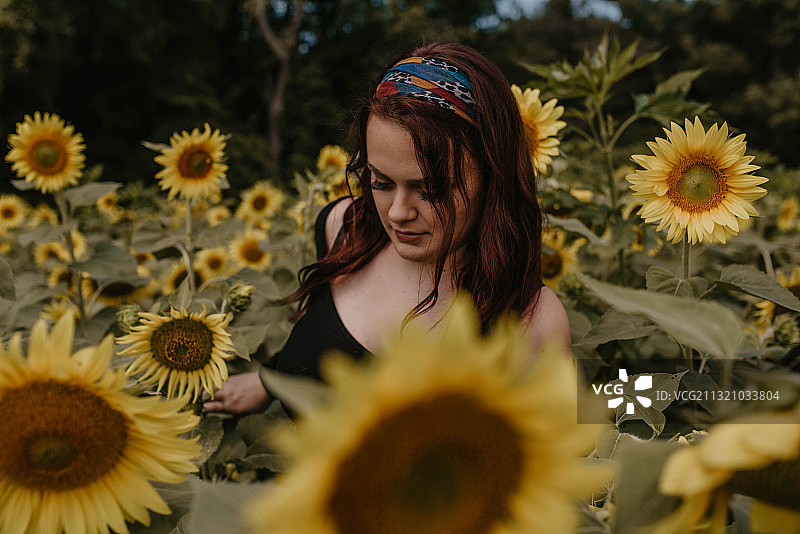 站在美国印第安纳州南本德向日葵田中的年轻女子图片素材